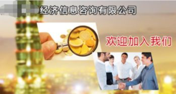 經(jīng)濟信息咨詢服務(wù)的內(nèi)容與范圍